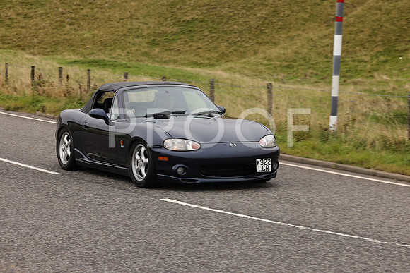 Steve - 3N3A9999 (2094)