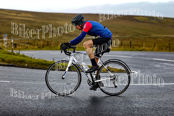 250A4451