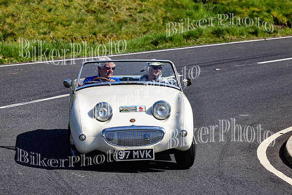 Daves (61)