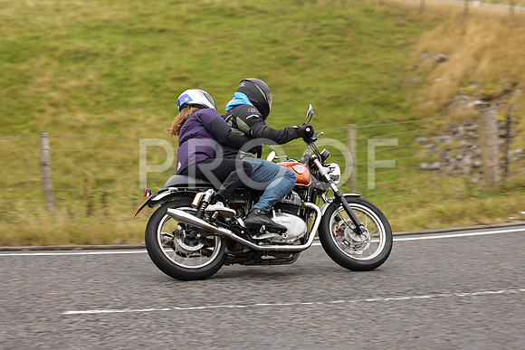 Steve - 3N3A9999 (1194)