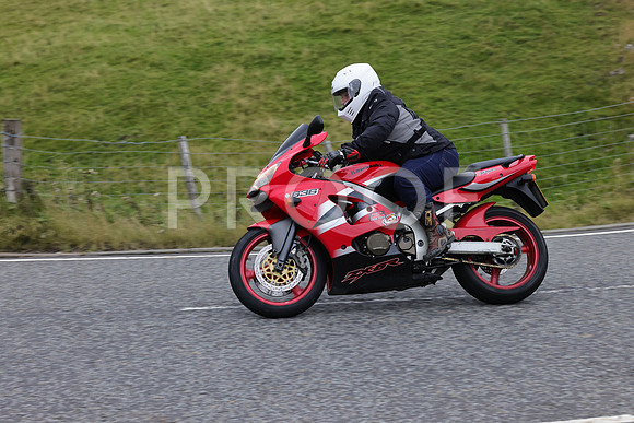 3N3A1495