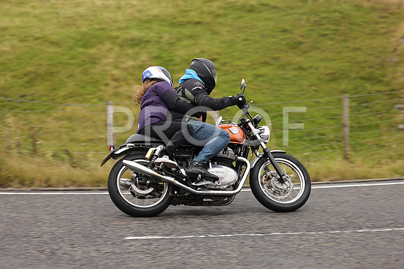 Steve - 3N3A9999 (1193)