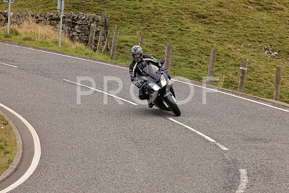 Steve - 3N3A9999 (2965)