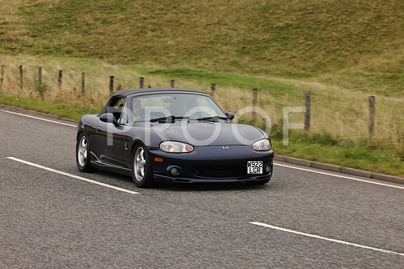 Steve - 3N3A9999 (2090)