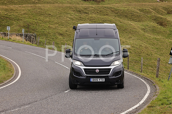 Steve - 3N3A9999 (2562)