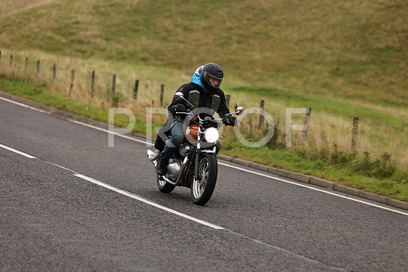 Steve - 3N3A9999 (1180)