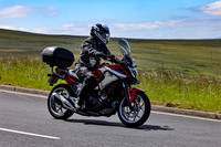 3N3A1169