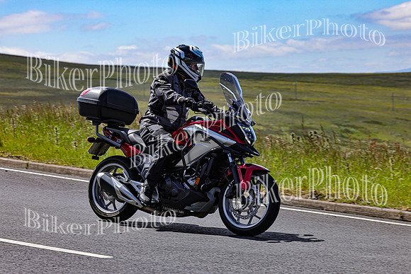 3N3A1169