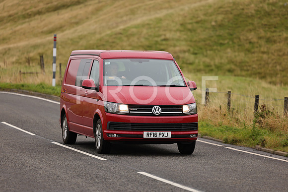Steve - 3N3A9999 (1633)