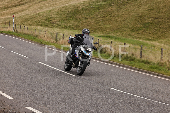 Steve - 3N3A9999 (3034)