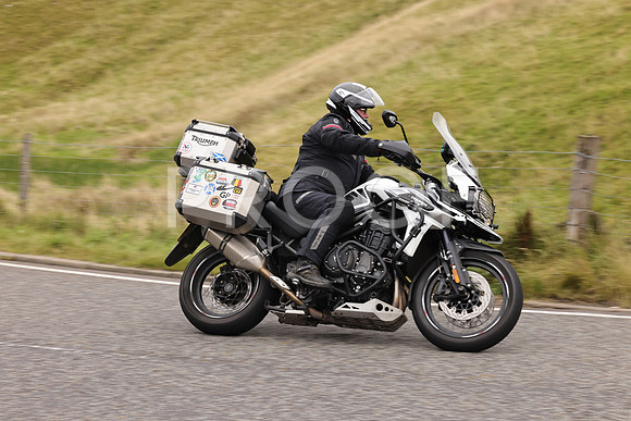 Steve - 3N3A9999 (3068)
