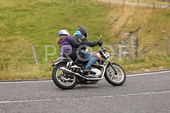Steve - 3N3A9999 (1195)