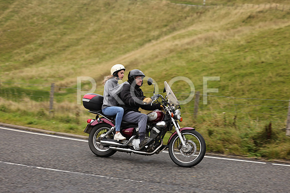 Steve - 3N3A9999 (1210)