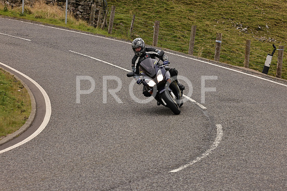 Steve - 3N3A9999 (2976)