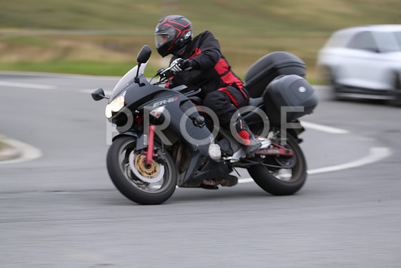 1DX23239_1