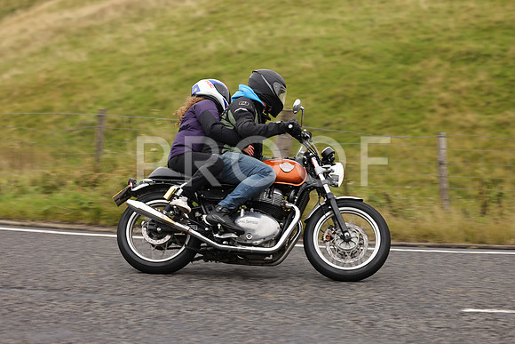 Steve - 3N3A9999 (1189)