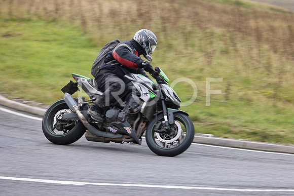 3N3A0685