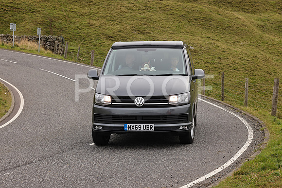 Steve - 3N3A9999 (2544)