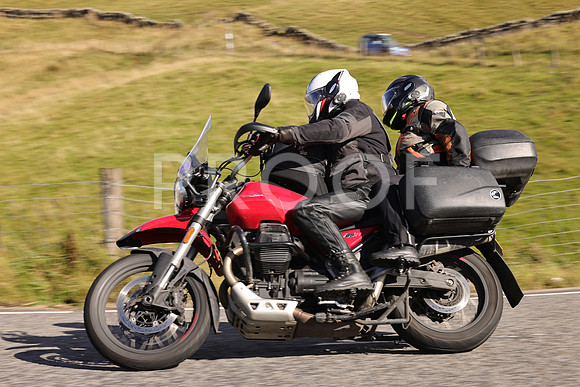 Steve - 3N3A6320 (1850)