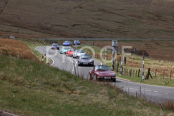 3N3A0152