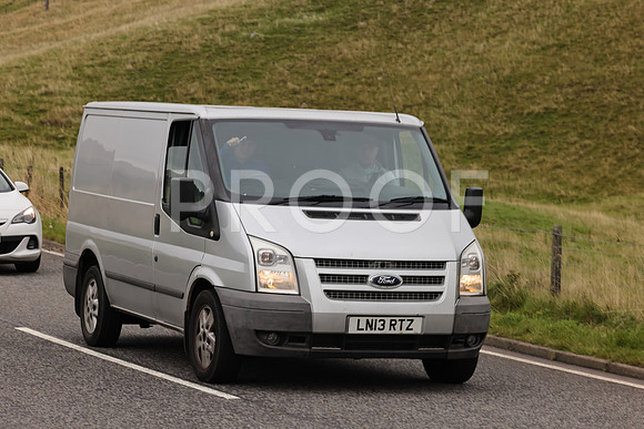 Steve - 3N3A9999 (2129)