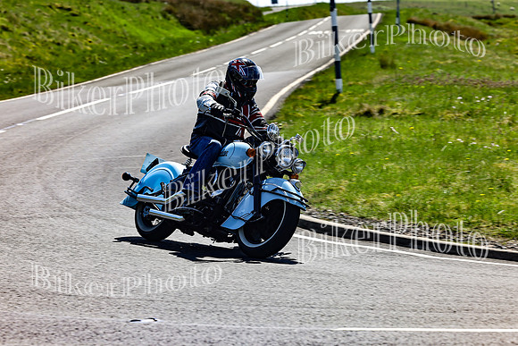 Daves (106)