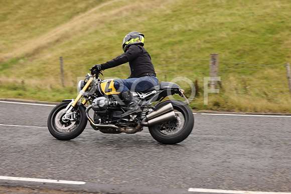 Steve - 3N3A9999 (992)