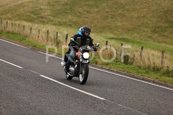 Steve - 3N3A9999 (1178)