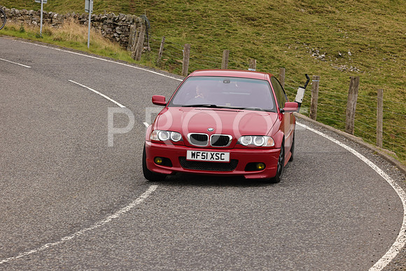Steve - 3N3A9999 (3486)