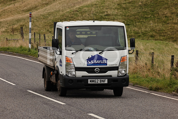 Steve - 3N3A9999 (2262)