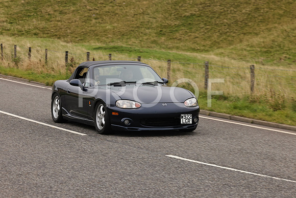Steve - 3N3A9999 (2091)