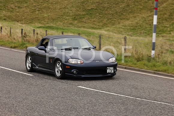 Steve - 3N3A9999 (2093)