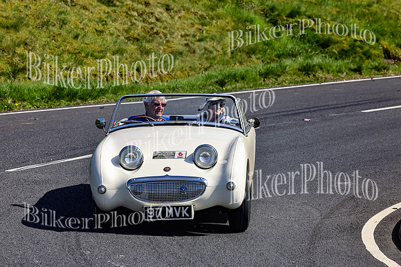 Daves (58)