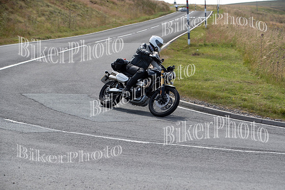 1DX20031
