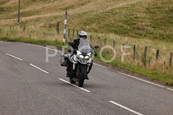 Steve - 3N3A9999 (3054)
