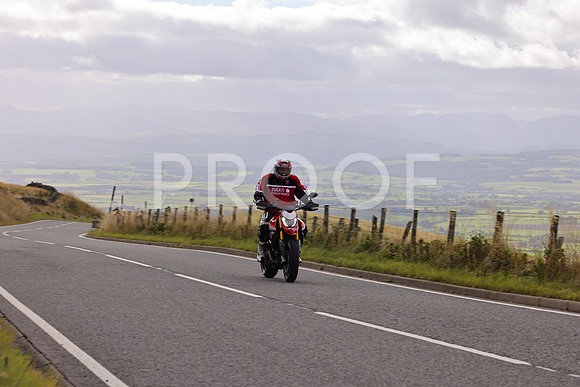 Dave - 3N3A061400 (234)