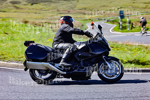 Daves (43)