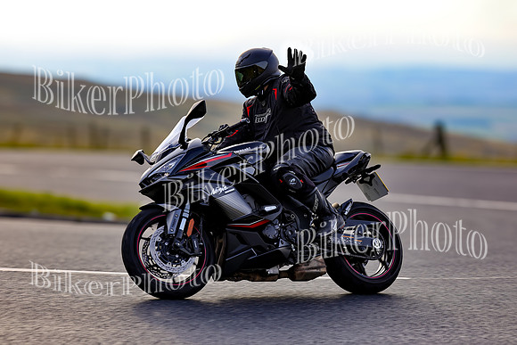 250A9073 (2)
