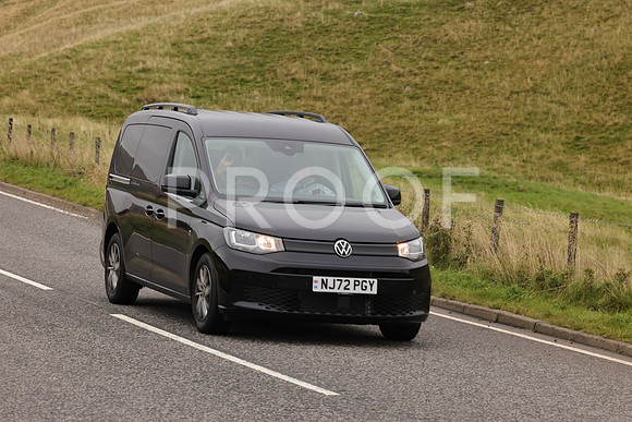 Steve - 3N3A9999 (2136)