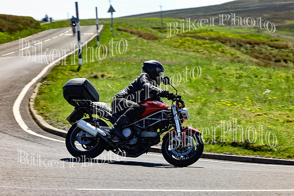 Daves (39)