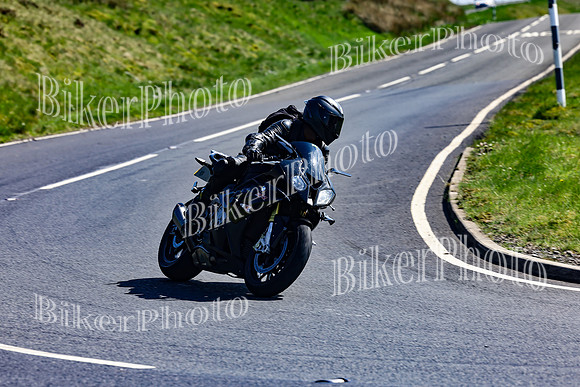 Daves (43)