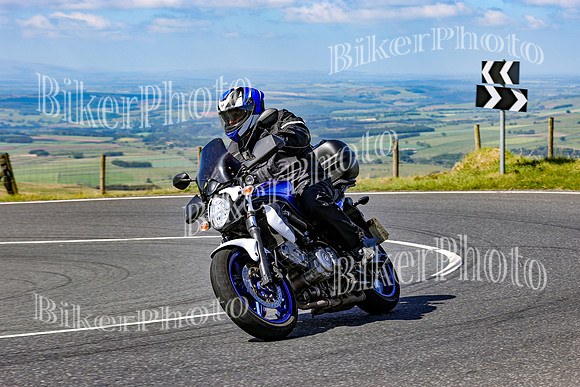 0W9A0158 (2)
