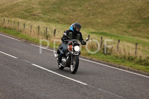 Steve - 3N3A9999 (1179)