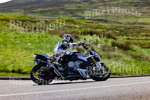 Daves (68)