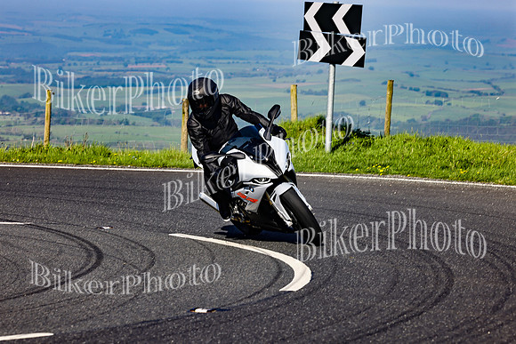 Daves (35)
