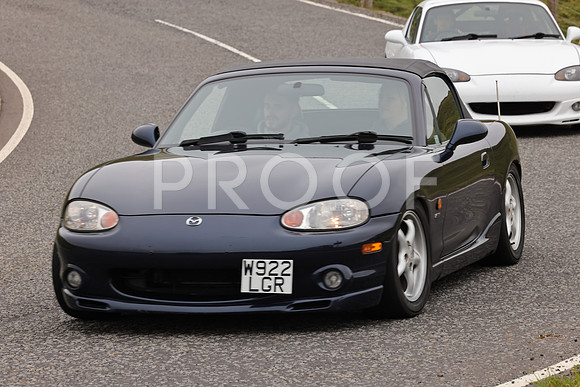 Steve - 3N3A9999 (2074)