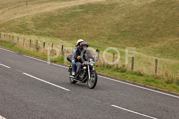 Steve - 3N3A9999 (1202)