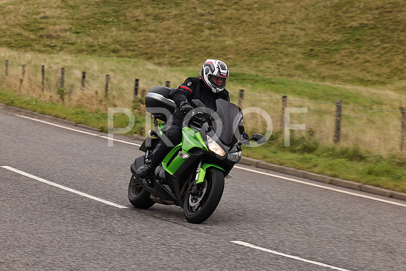 Steve - 3N3A9999 (3083)