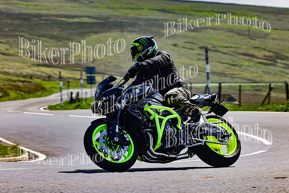 Daves (53)