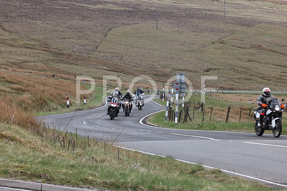 3N3A0653